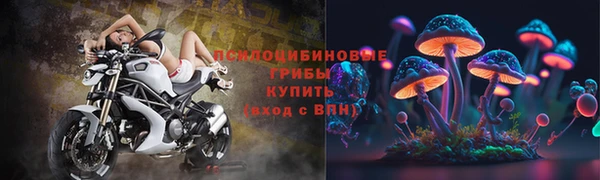 apvp Беломорск