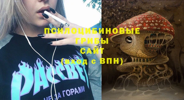 гидра Белоозёрский