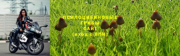 гидра Белоозёрский