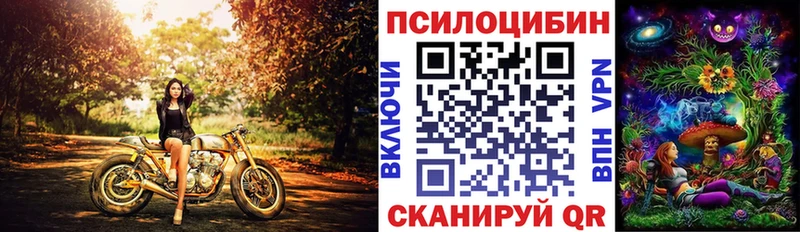 Купить закладки  Новоалтайск  Псилоцибиновые грибы прущие грибы 